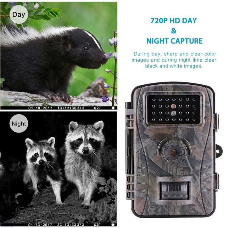 NightPal™- 720P 8MP Waterproof Hunting Deer Trail  Camera